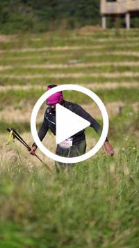 BIB:  <button type="button" onclick="openModal(26787060)" class="btn btn-primary btn-sm float-right" data-toggle="modal" data-target=".modal-high-quality">
                <i class="fa fa-download"></i> Download
                </button>